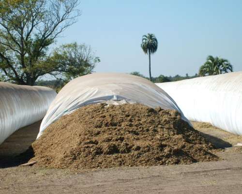 Campo Mixto de Gran Escala en Federal, Entre Ríos