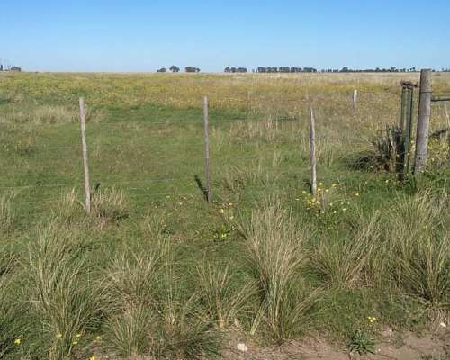 Se Venden 240 Has , Mixtas con MB Mejoras Sierra de Ventan
