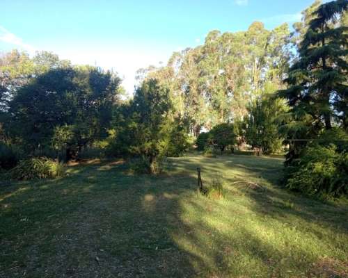 107 Ha muy Lindo Campo en Coronel Pringles