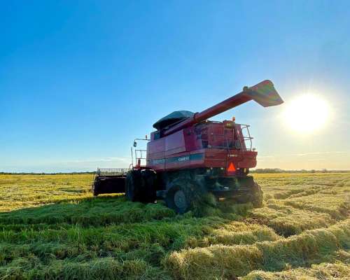 Cosechadora Case IH Axial Flow 2799. año 2015. C/plataformas