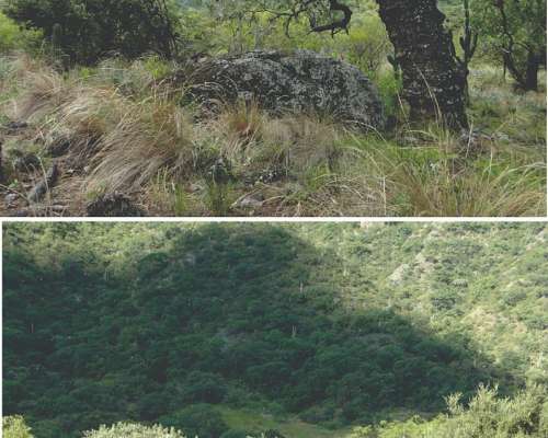 48.5 Hs a 15 de la Capital Agroindustria Agua Lotes Turismo