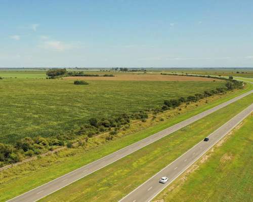 Piquillín, Río Primero, Córdoba - 56 Ha