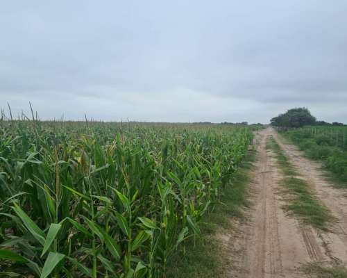 Lavalle 1180 Has Stgo del Estero Argentina