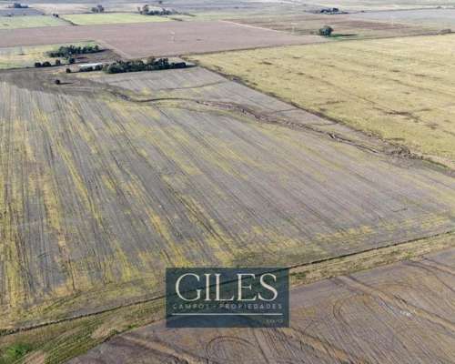 30 Hectáreas Agrícola Baradero Portela