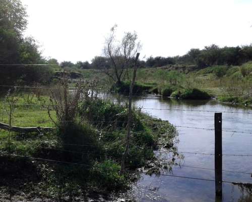 Vendo Campo Ganadero en San Luis