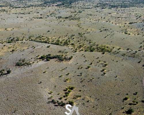 Vende: Campo Ganadero de 1.650 Hectáreas. Carro Quemado