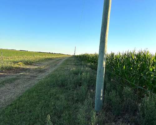 3000 Ha Mixtas la Maruja