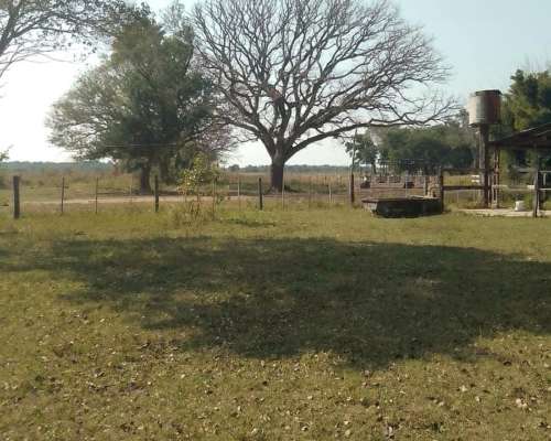 Vende Establecimiento Completo - las Palmas Chaco