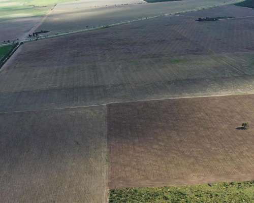 San Luis Naschel 200 Has 100 % Agrícolas