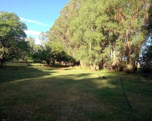 107 Ha muy Lindo Campo en Coronel Pringles