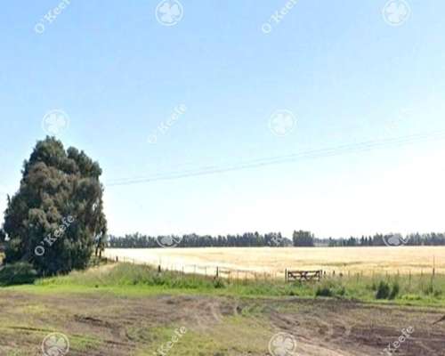 Campo en Venta de 190 Has en Tres Arroyos. Agricola
