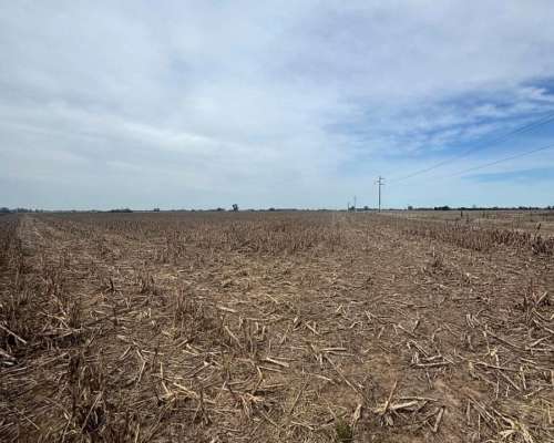 Campo Agrícola de 63 Hectáreas General Rojo