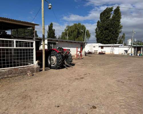 Finca de 15ha D° Riego, Pozo, Goteo.