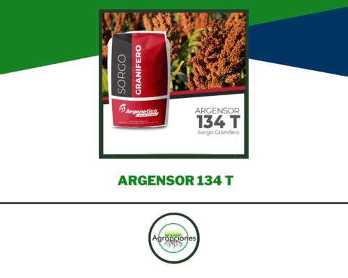 Semilla de Sorgo Argensor 134 T