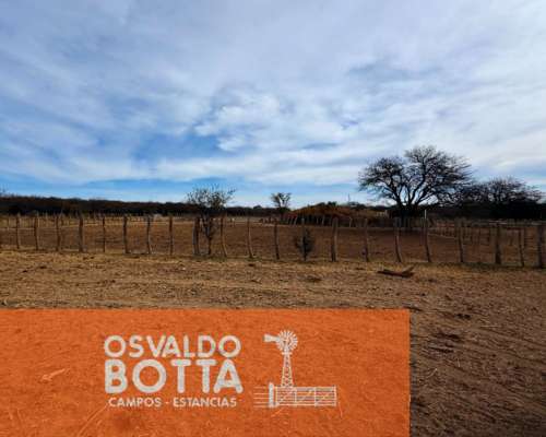 Campo Ganadero – 6.200has – Rucanelo, la Pampa
