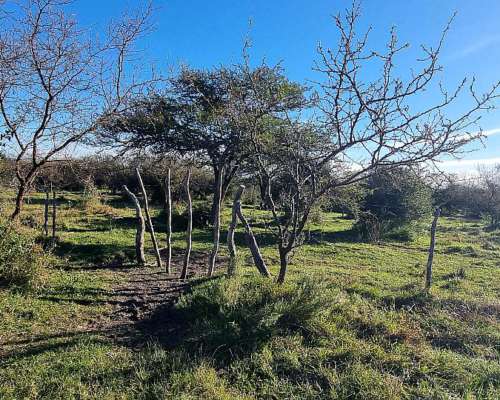 Vendo Campo Ganadero en San Jose de Feliciano