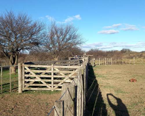 1.140 Ha Excelente Campo de Monte en San German, Puan