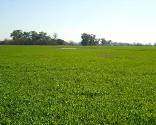 Campo Mercedes - Producción y Turismo