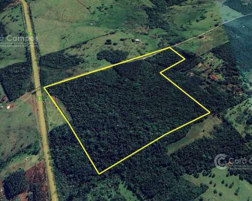 Chacra en Venta de 25ha en Olegario Victor Andrade