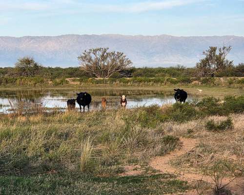 Campo Ganadero de 5.200 Hectáreas -san Luis