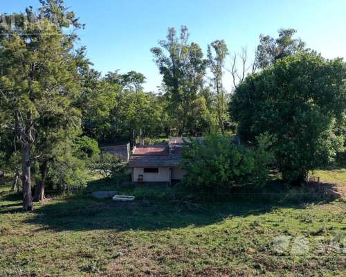 Campo Entre Manzanares y Open Door 83 Ha