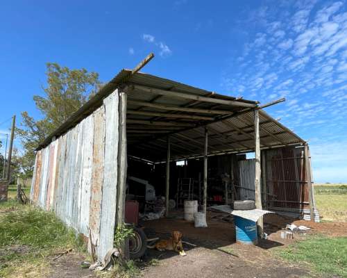 Chacra 8 Hectáreas Concepción del Uruguay