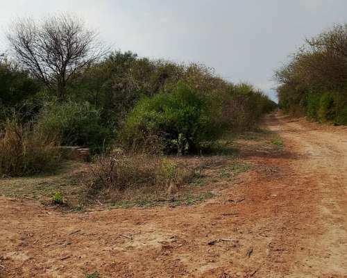 780 Hectareas a 5 km de Añatuya Pegadas al Canal Monte Facil