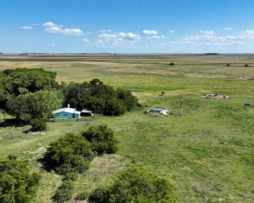Paraje Pavón, General Lavalle, Buenos Aires - 4.784 Ha