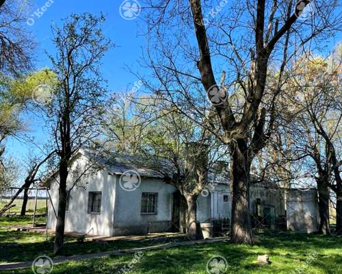 Campo en Venta de 1150 Has en Formosa. Cerca de Ruta Nac. 11