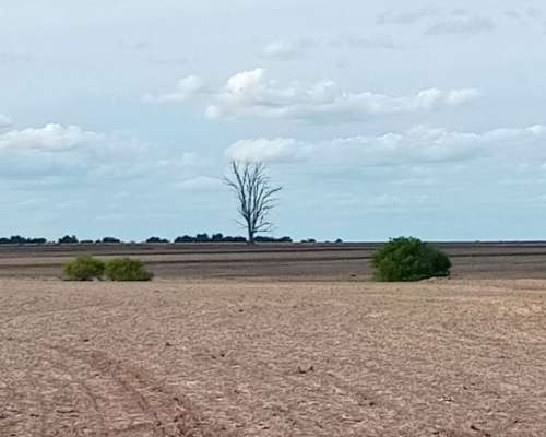 66 HA. Zona Hernández. Agrícola sin Desperdicio