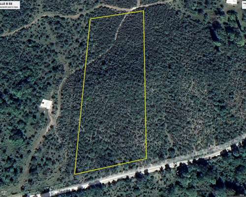 Terreno en Venta 1 Hectárea, Valle Buena Esperanza, Alta GRA