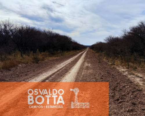 Campo Ganadero – 6.200has – Rucanelo, la Pampa