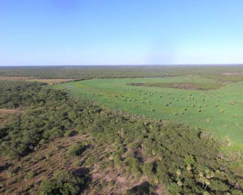 Venta 1.863 Has. en Estanislao del Campo - Formosa