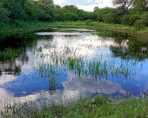Zona General Guemes Chaco