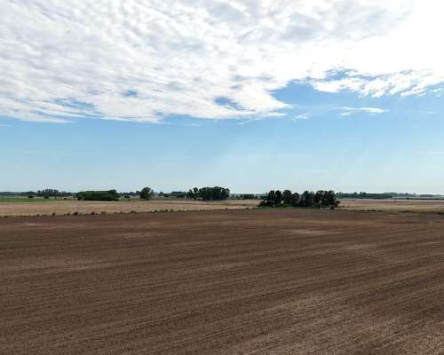 105 Has. Campo Agrícola en San Andres de Giles