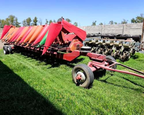 Maicero de Grande de 13 S. año 2003.