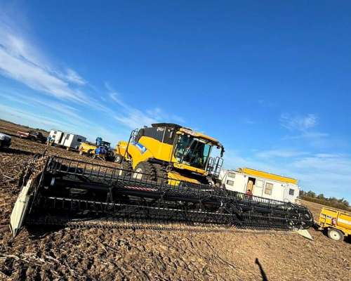 Cosechadora New Holland CR 6.80 Drapper 40 Pies Maizco