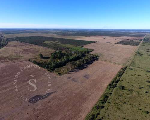 Campo Mixto. 687 HA. San Justo, Santa FE.
