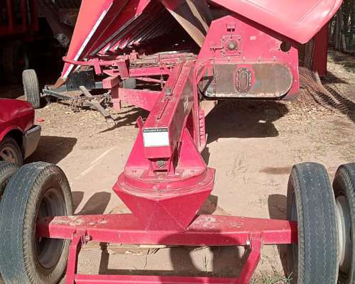 Maicero Ombu de 14 a 52