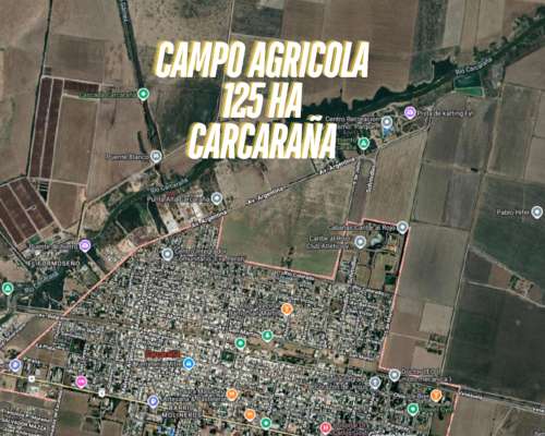 Campo Agricola en Venta de 125 Ha en Carcarañá