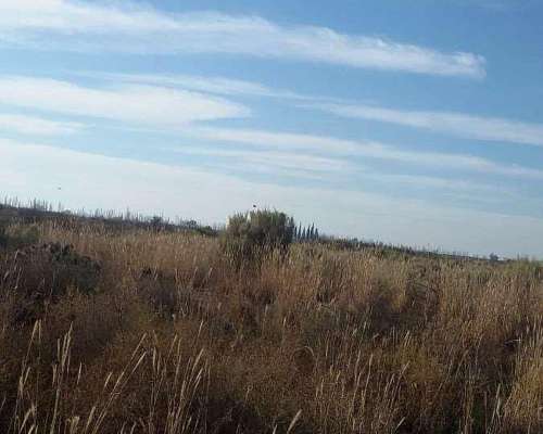 Venta Campo Mendoza , Junin 77.8ha.