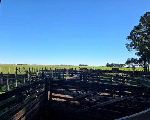 200 Ha Agricolas SC
