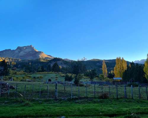 Venta Campo 291 Hectareas en Lago Rivadavia Cholila Chubut
