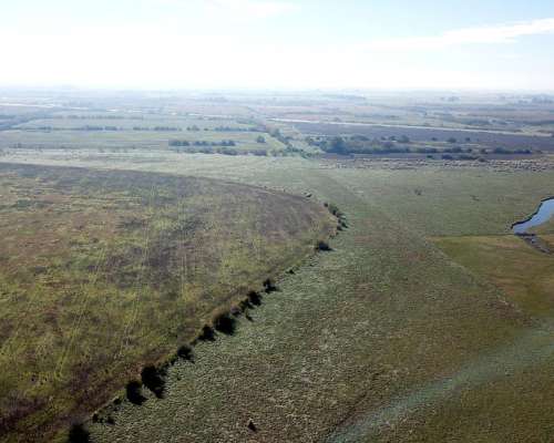 140 Has. Campo Sobre Ruta 6, Cañuelas - las Heras