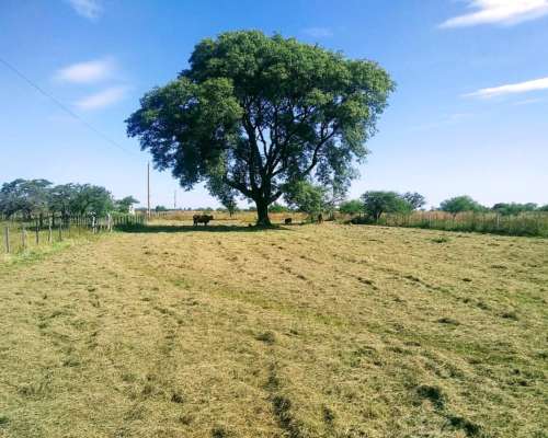 Vendo Lote de 25 X 25 Mts. en Mercedes - Corrientes