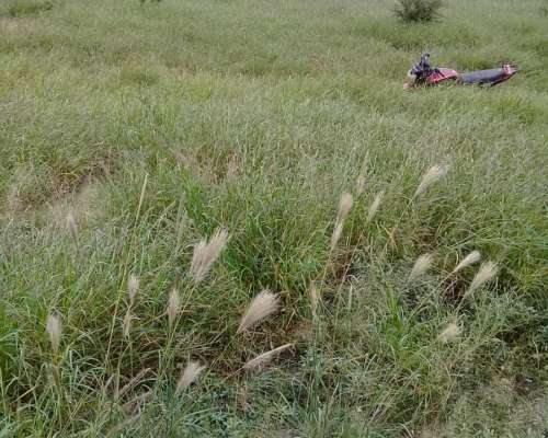 Vendo Campo Establecimiento Don Angel