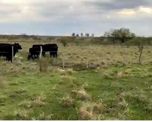 Concordia. Campo Agricola Ganadero