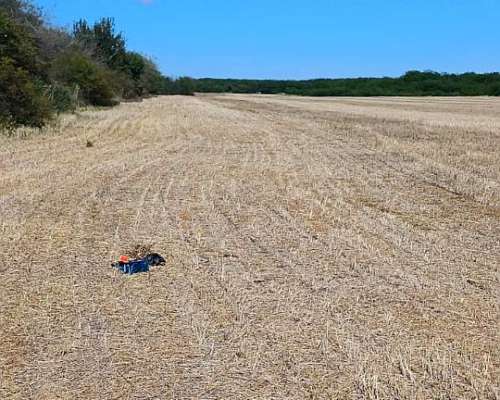 Campo 27 Ha Rosario del Tala Soja Trigo Sorgo