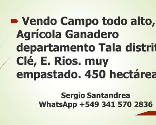 Campo Agricola Ganadero 400 Hectáreas