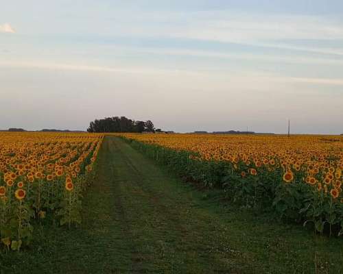 Gran Oportunidad en Lobería